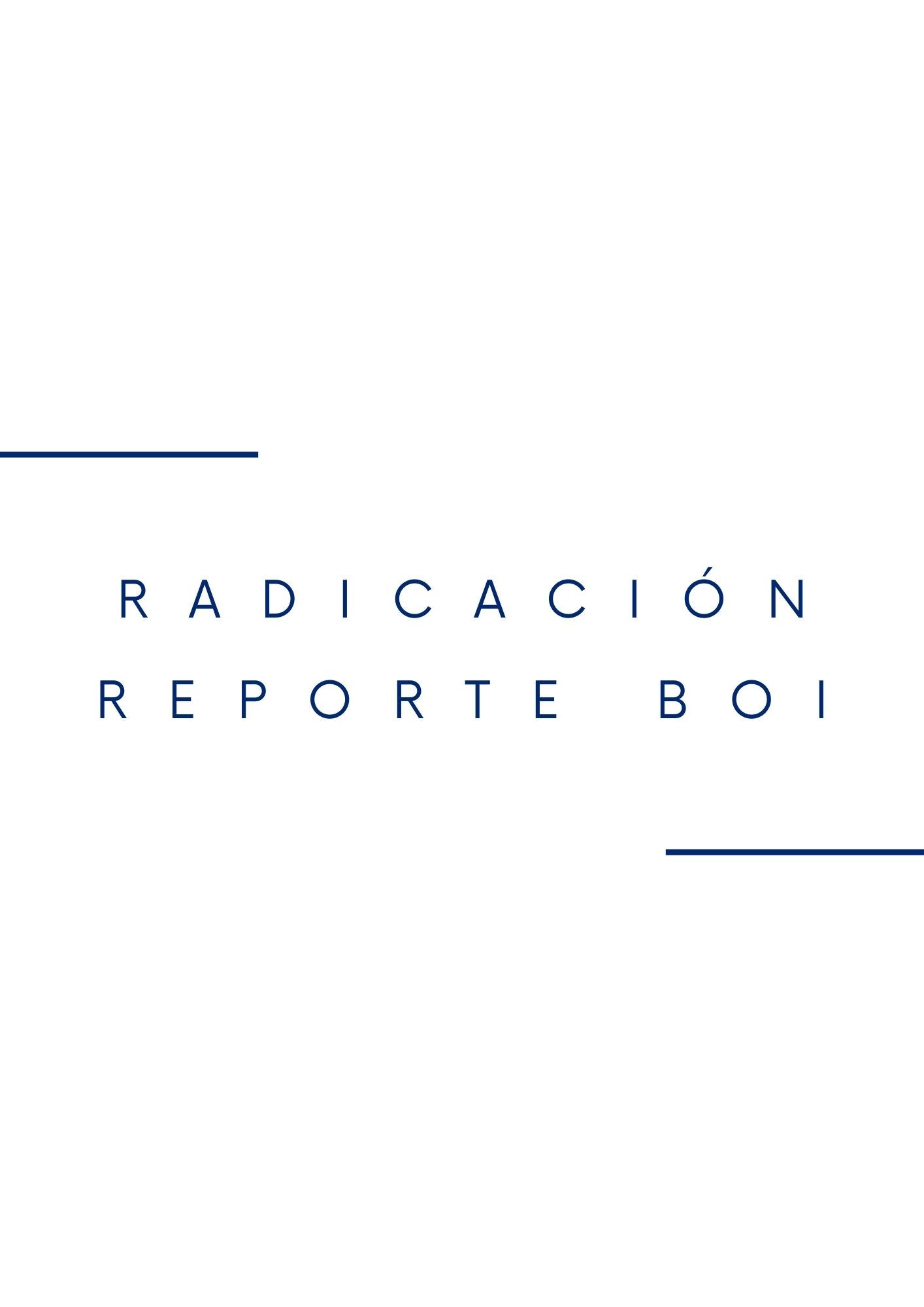 Radicacion Reporte BOI