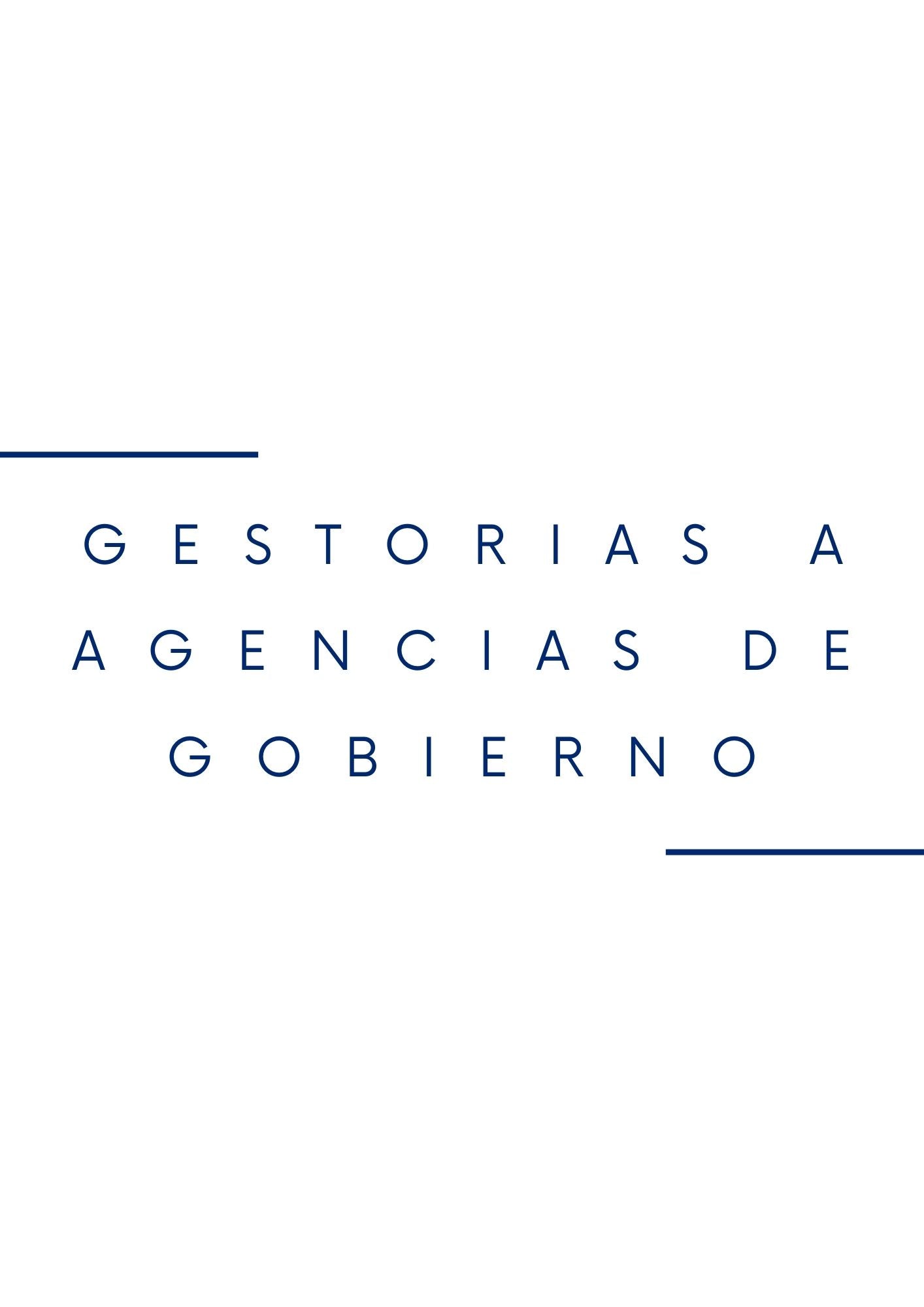 Gestorias a agencias de gobierno