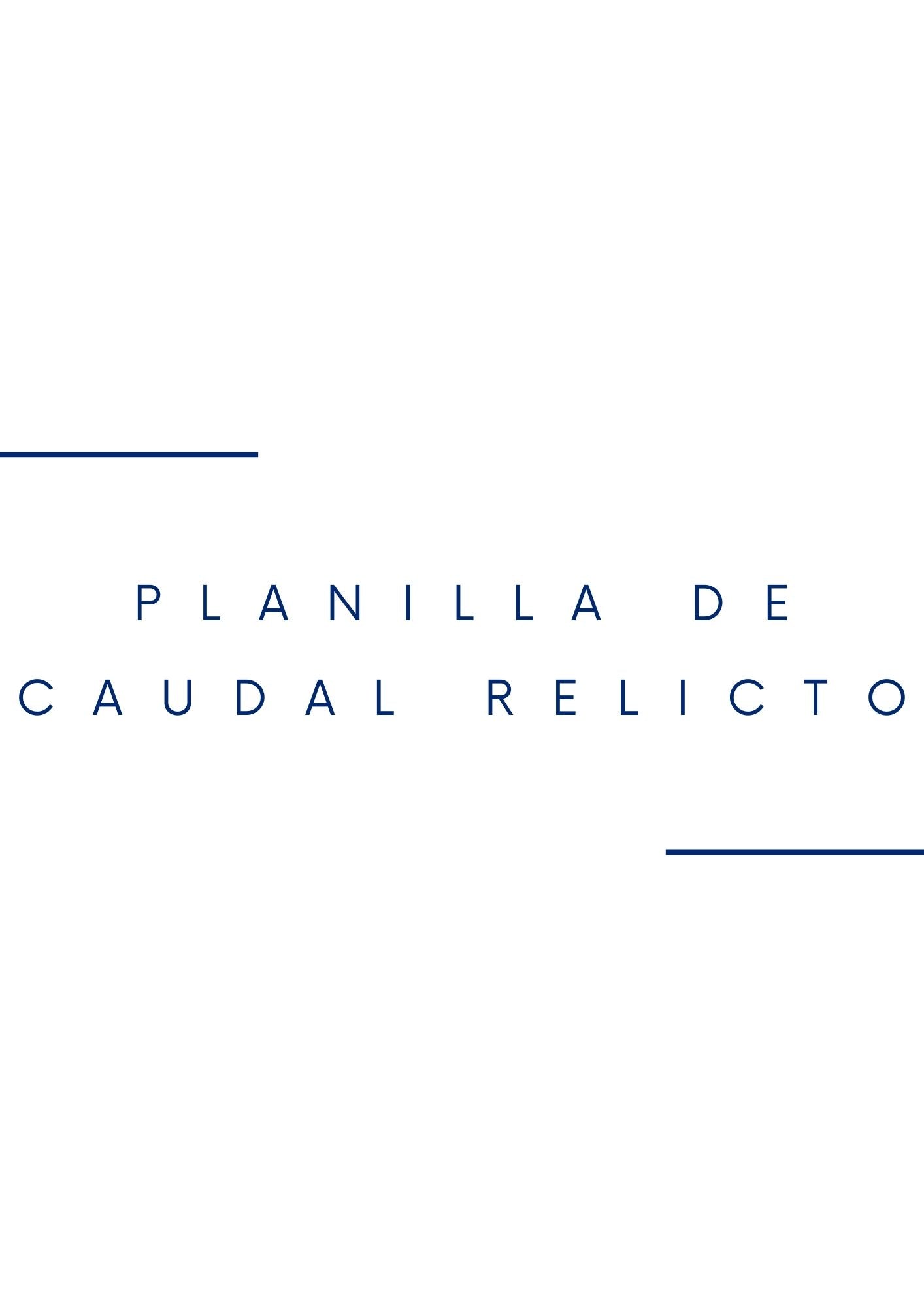 Planilla de Caudal Relicto