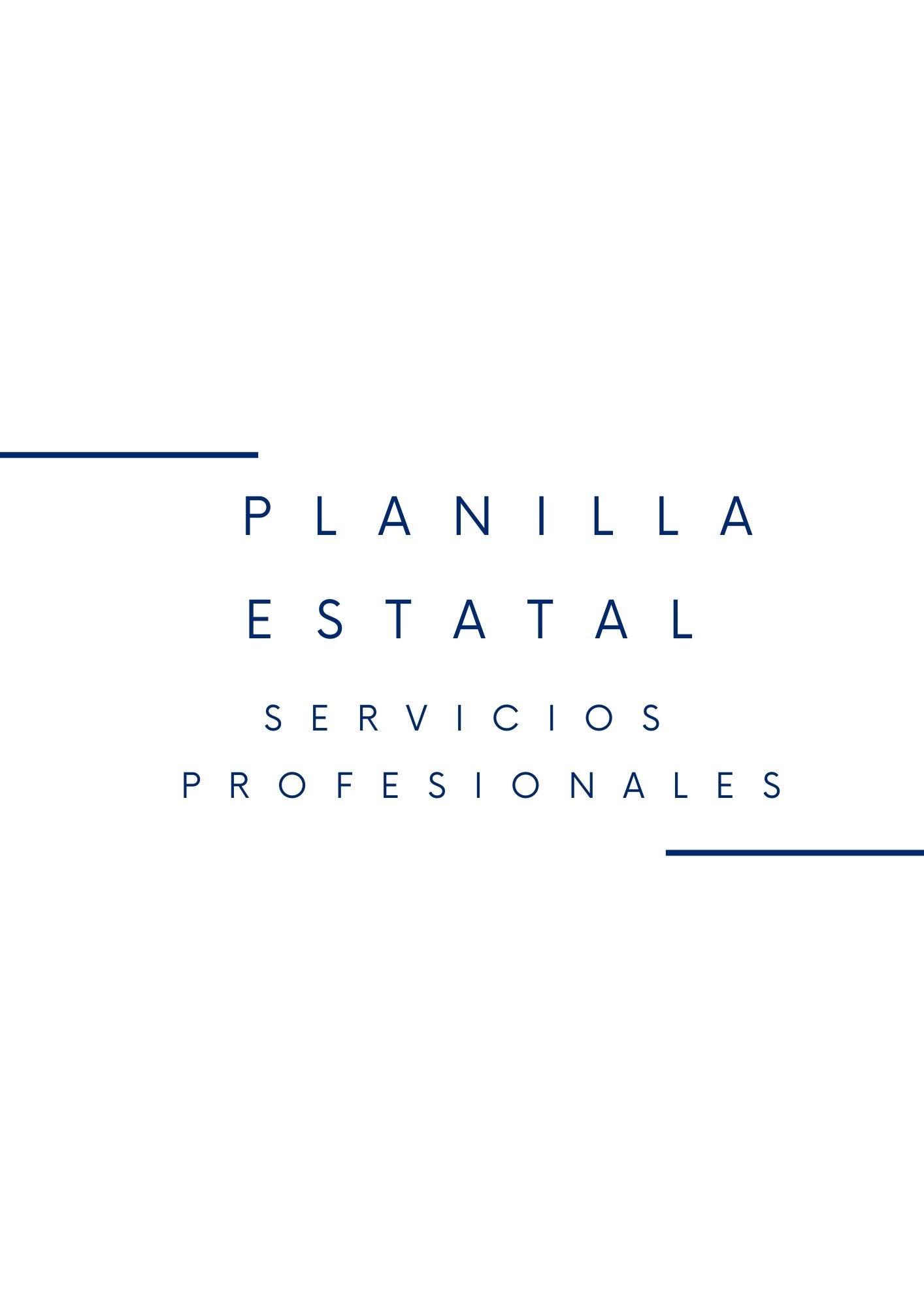 Planilla Estatal- Servicios Profesionales