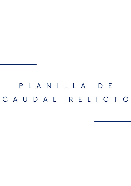 Planilla de Caudal Relicto